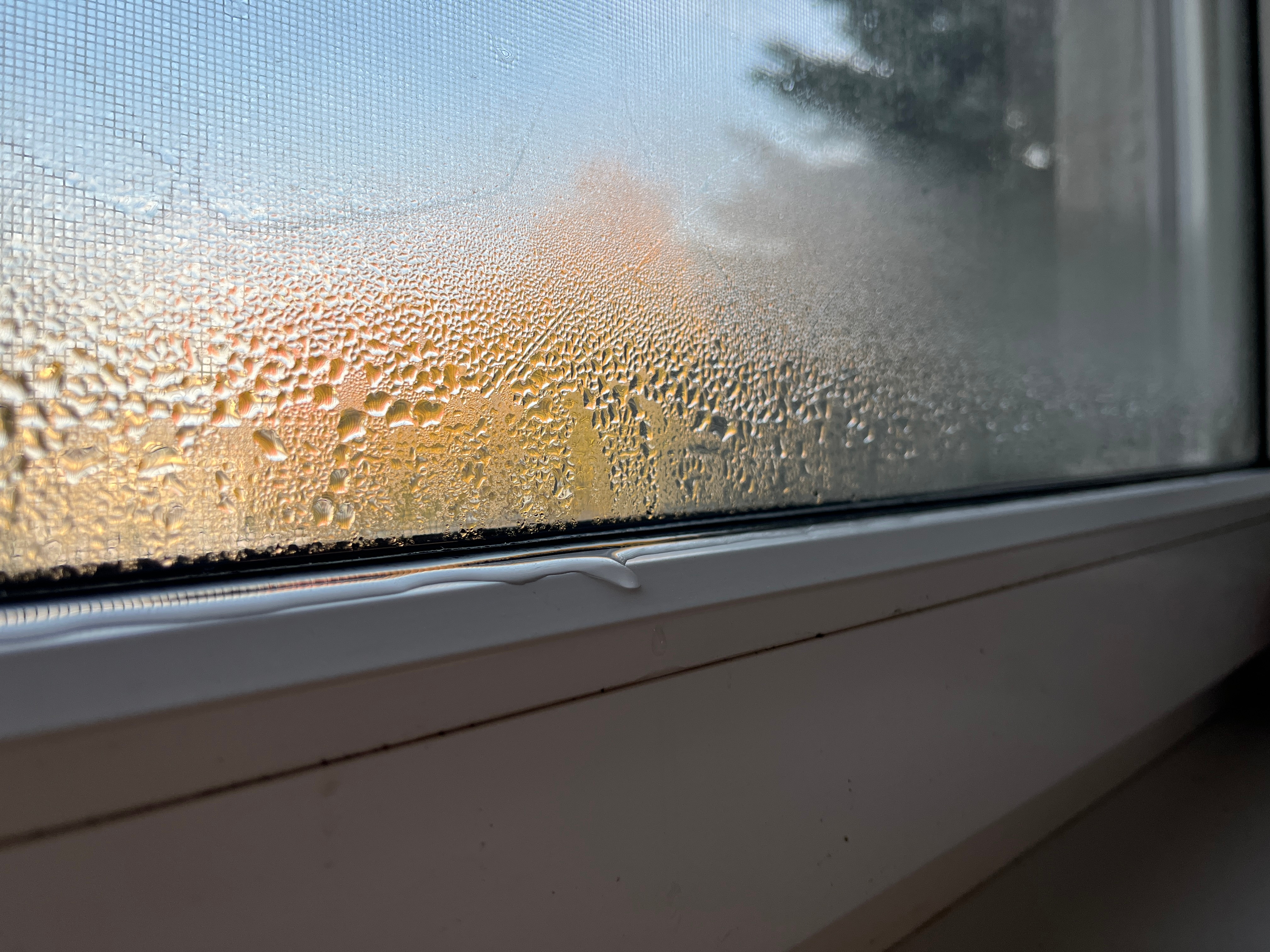 Understanding Dew Point: What it is and how to measure it